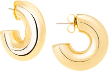 Load image into Gallery viewer, Oprah's Favorite Small Hoop Earrings
