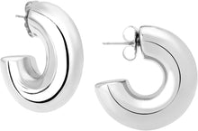 Load image into Gallery viewer, Oprah&#39;s Favorite Small Hoop Earrings

